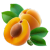 Apricot